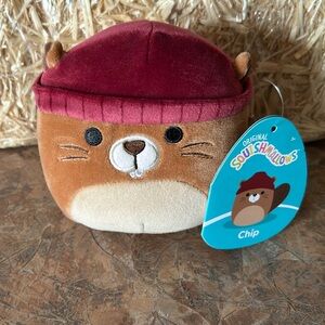 Squishmallows Chip the Beaver 🦫